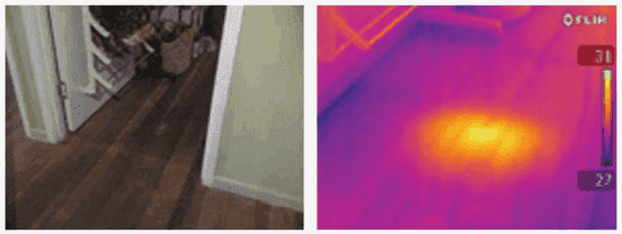 termite under floor.png