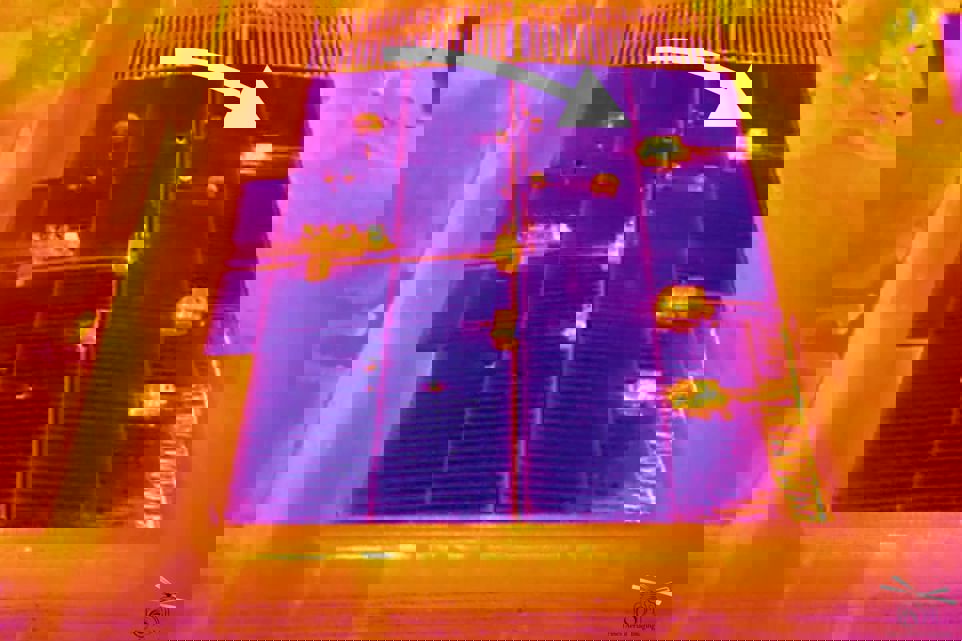 76730689_1053966091610893_8829959436337414144_o.jpg