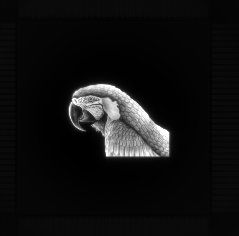 CDS-parrot.png